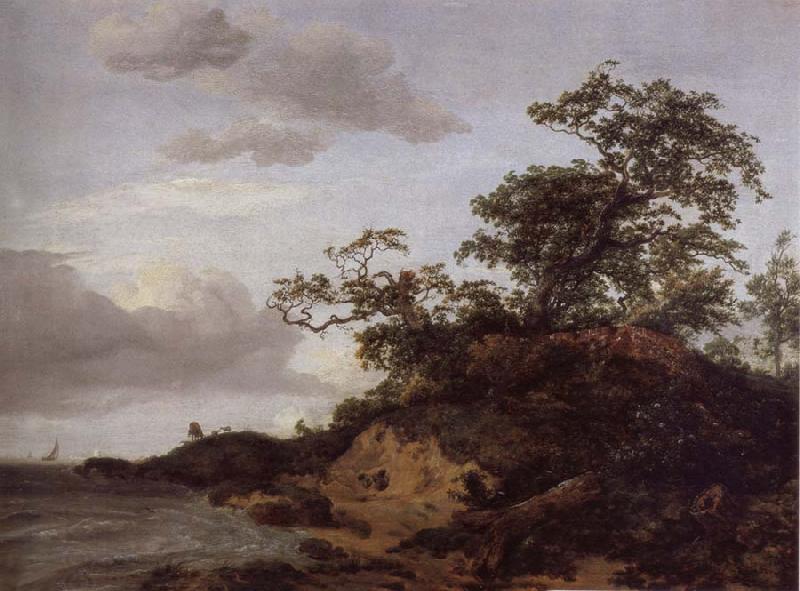 Jacob van Ruisdael Dunes by the sea oil painting picture